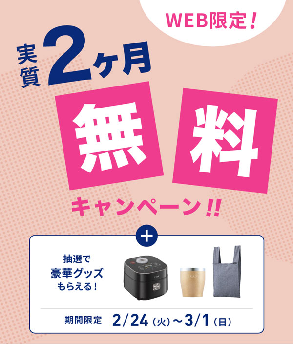 エブリィフレシャス実質2ヶ月無料キャンペーン
